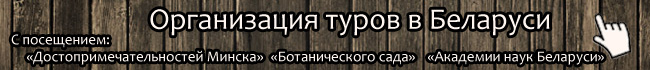 Организация туров в Беларуси