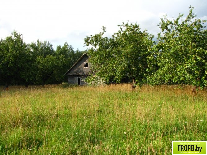 Озеро Богинское