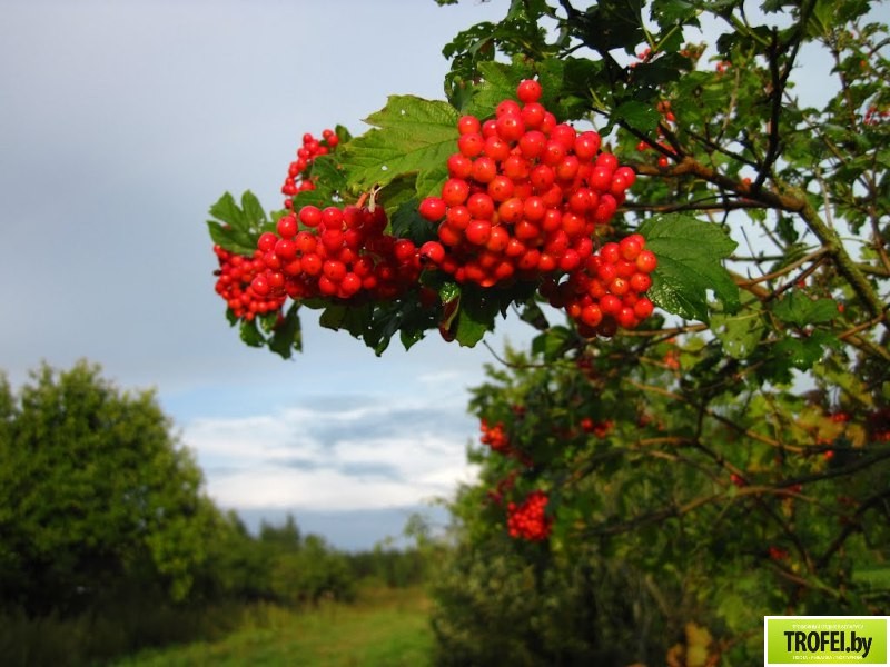 Озеро Богинское