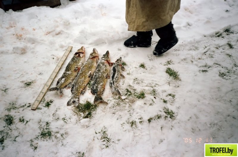 Озеро Богинское