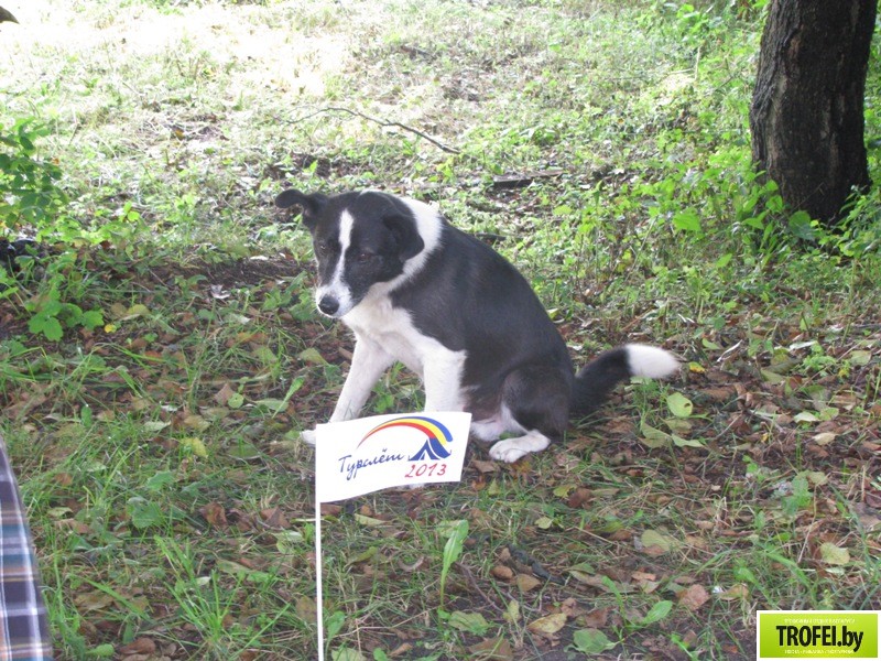 II Чемпионат по ловле раков 2013