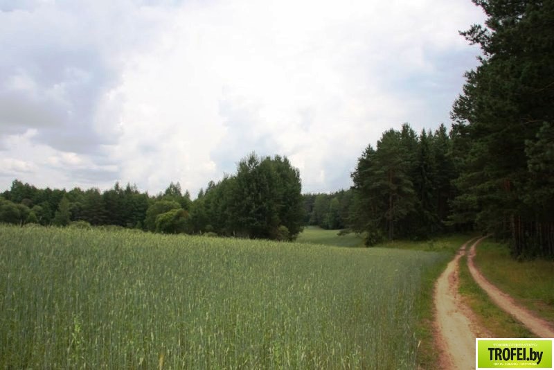 озеро Болта (Болто)