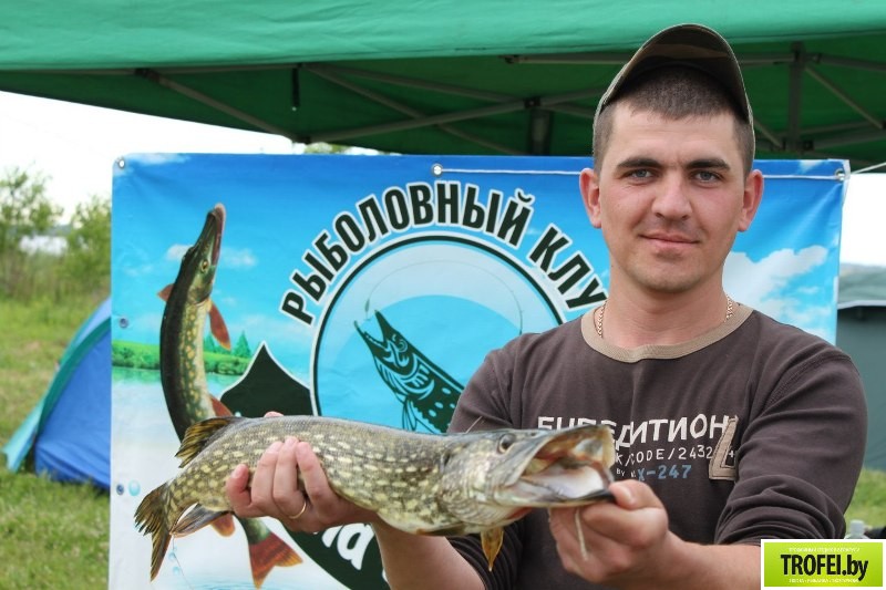 Соревновани по ловле хищника. Полозерье 2013