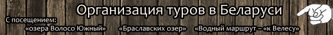 Организация отдыха в Беларуси