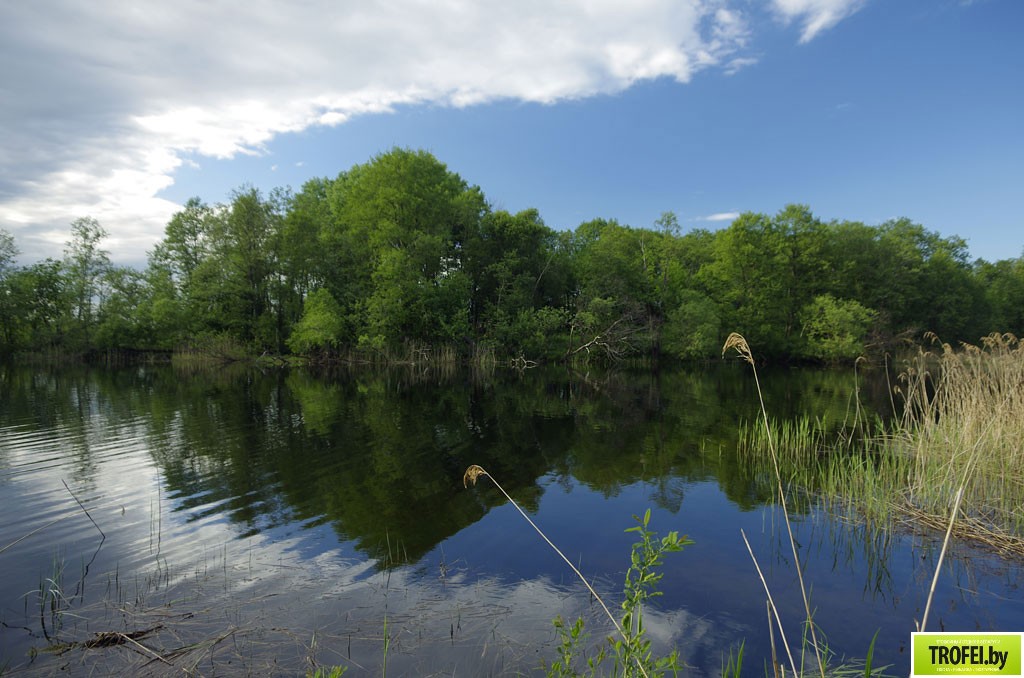 Озеро Войсо