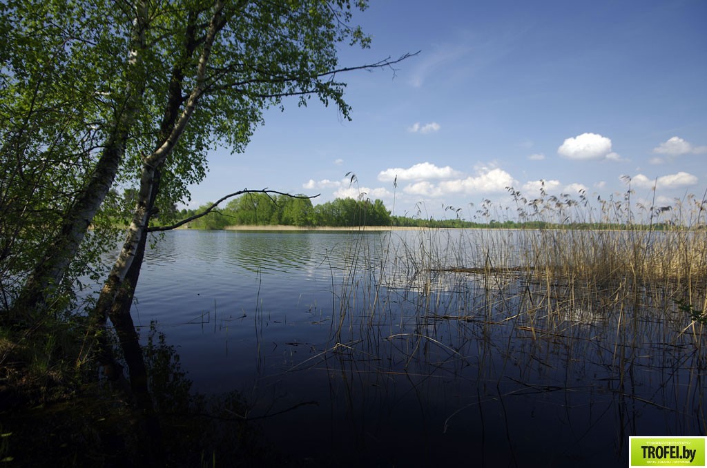 Озеро Войсо