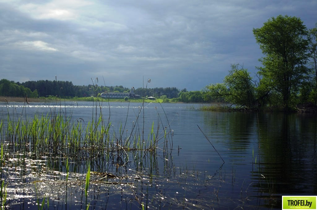 Озеро Войсо