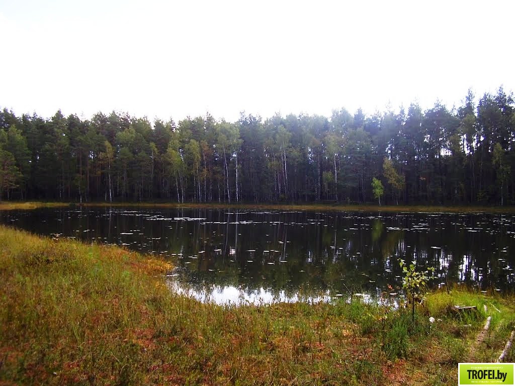 Озеро Волос Северный