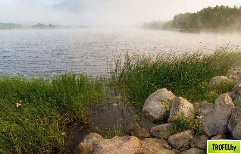 Озеро Высокое. Браславские озера