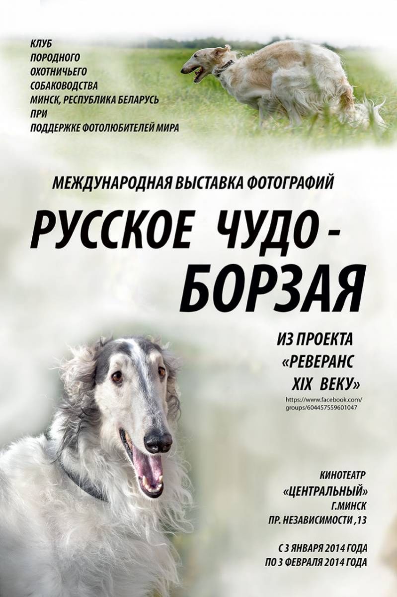 выставка фотографий Русское чудо - борзая