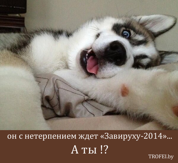 Завируха-2014