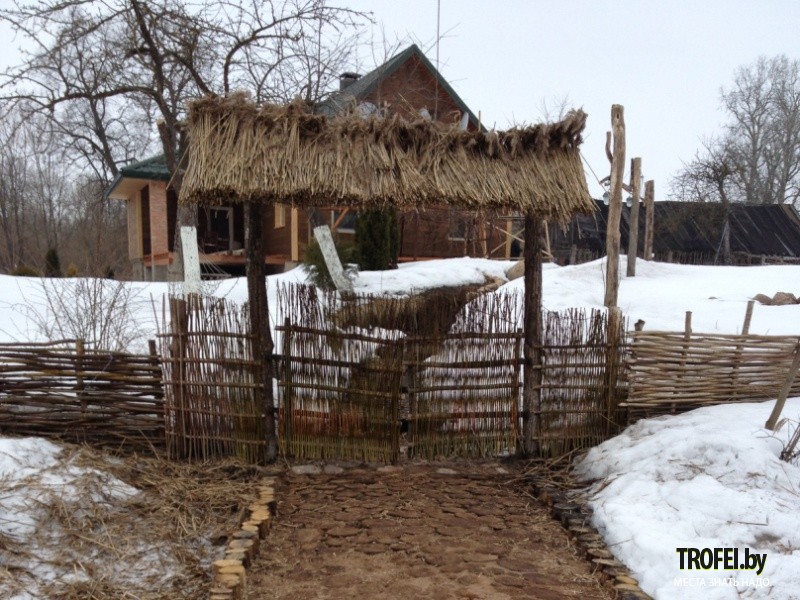 Агроусальба  