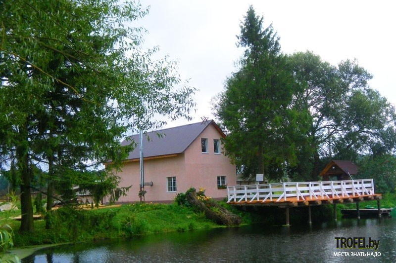 Агроусадьба Серая шейка